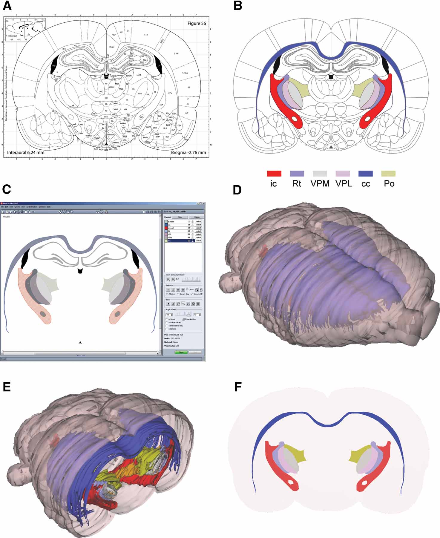 Frontiers | Three-dimensional atlas system for mouse and rat brain