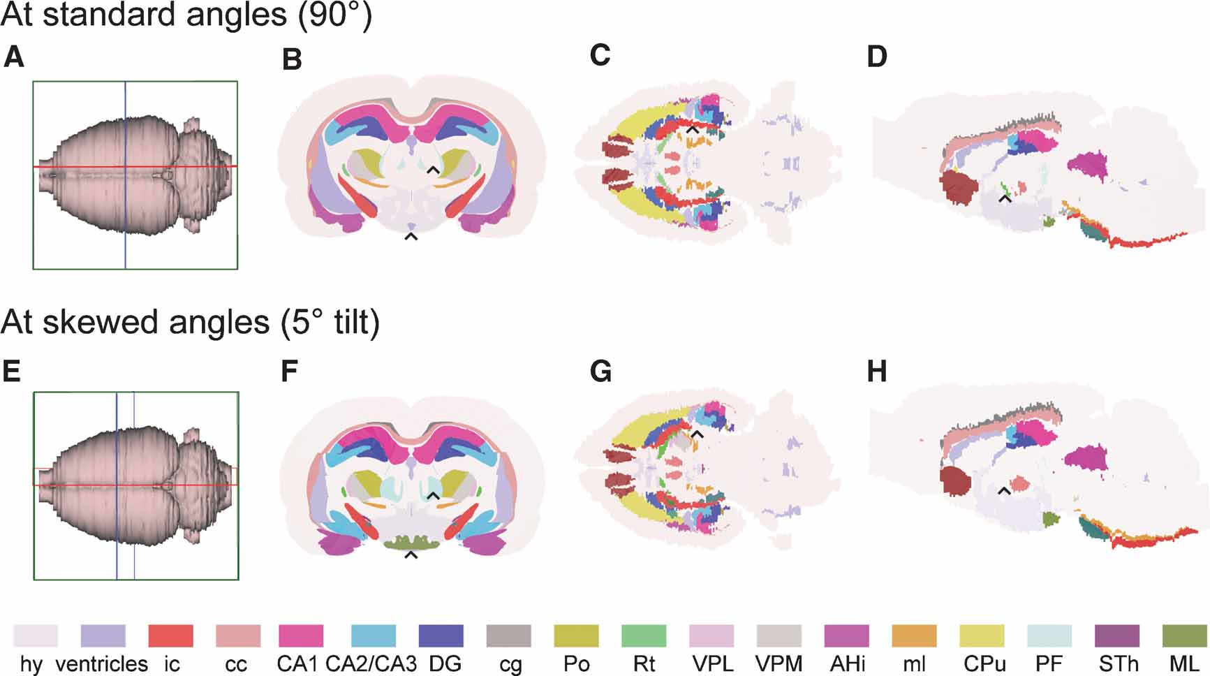 Frontiers | Three-dimensional atlas system for mouse and rat brain