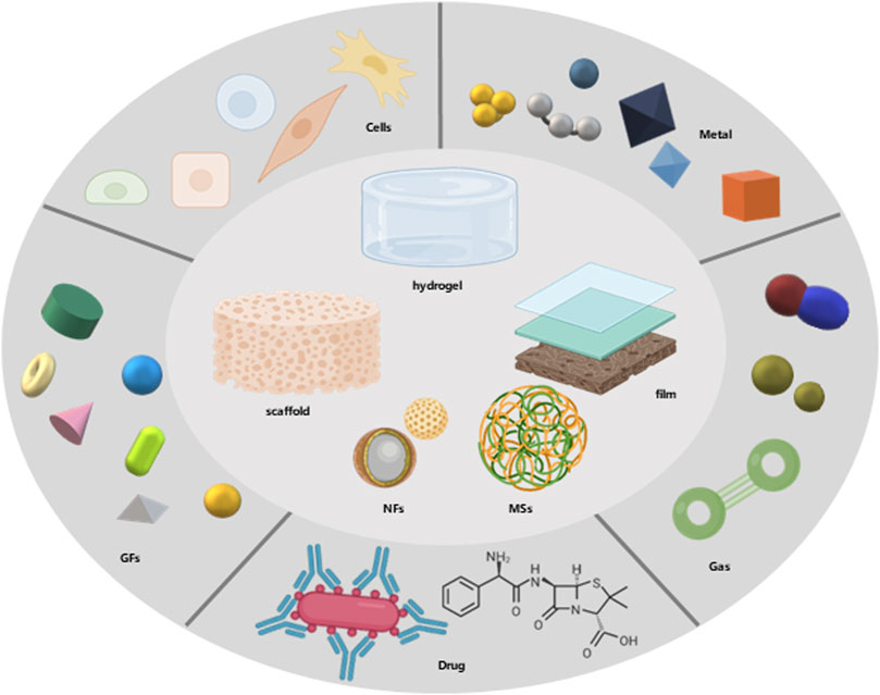 Frontiers Effect of composite biodegradable biomaterials on wound