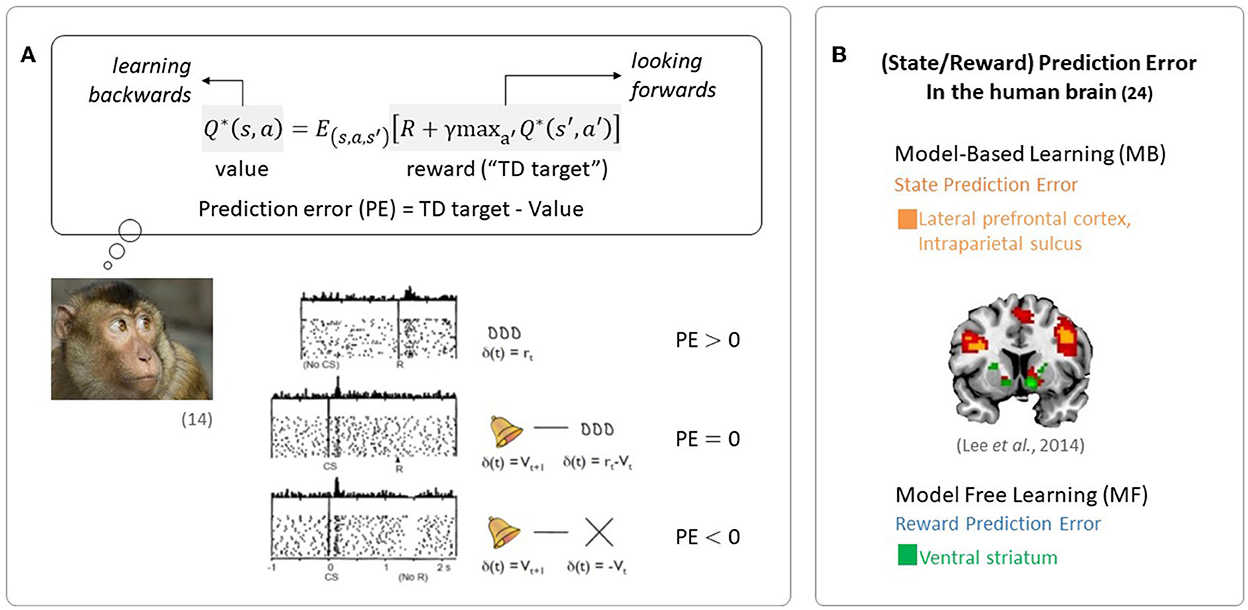 PDF] Mastering Chess and Shogi by Self-Play with a General Reinforcement  Learning Algorithm