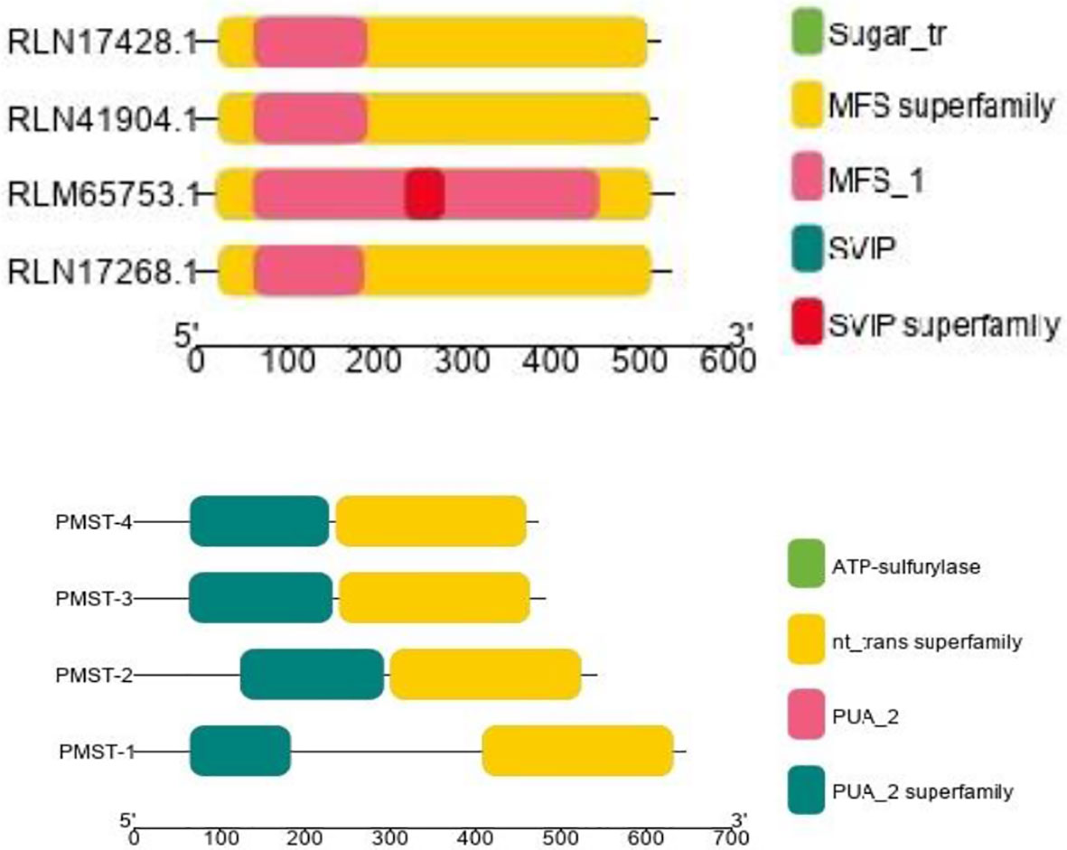 frontiers-selenate-and-selenite-transporters-in-proso-millet-genome