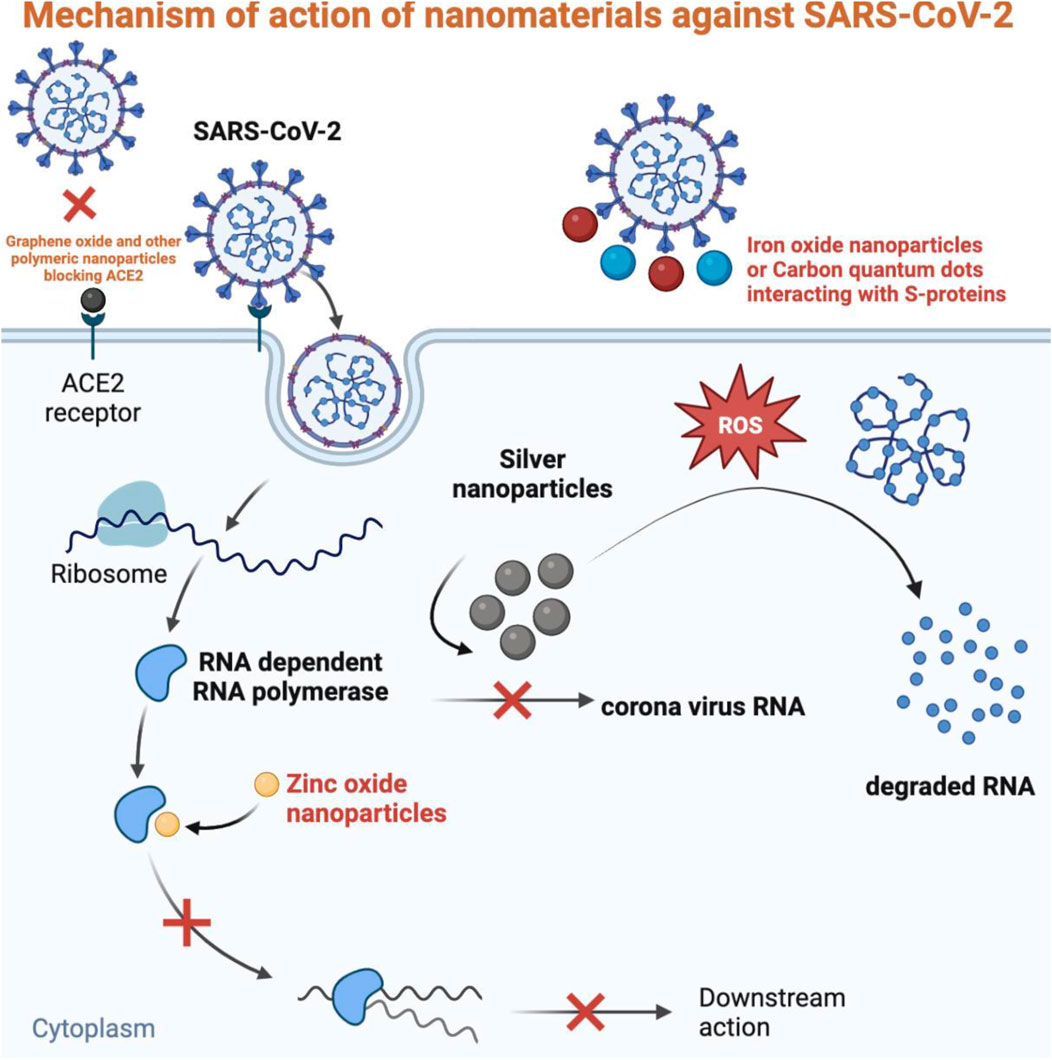 Frontiers  Application of nanomaterials against SARS-CoV-2: An