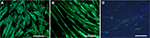 www.frontiersin.org
