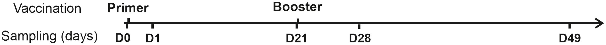 www.frontiersin.org