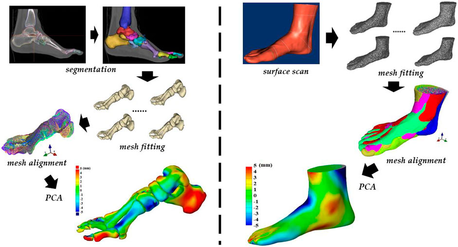 Running in Sandals? Physiotherapists Weigh in with Engineers' Help