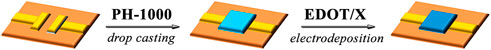 www.frontiersin.org
