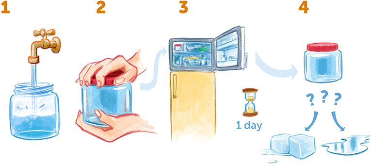 Figure 3 - Supercooling water at home.
