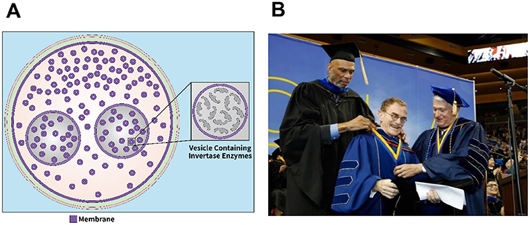 Figure 3 - The Nobel Prize-winning discovery of Sec1 in Baker’s yeast.