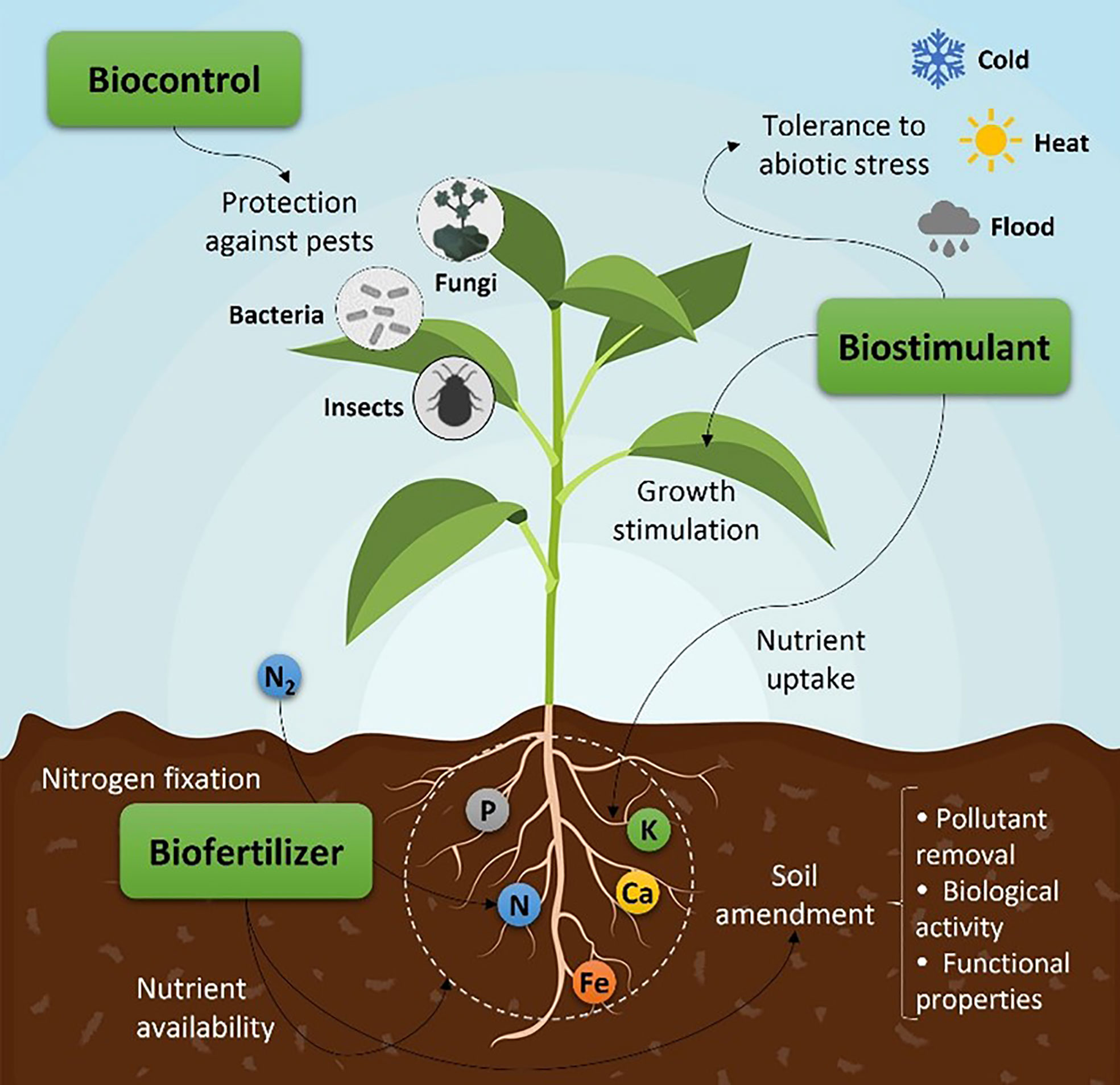 30 Years of Experiments Predict Future for Major Crops- Crop Biotech Update  (November 11, 2020)