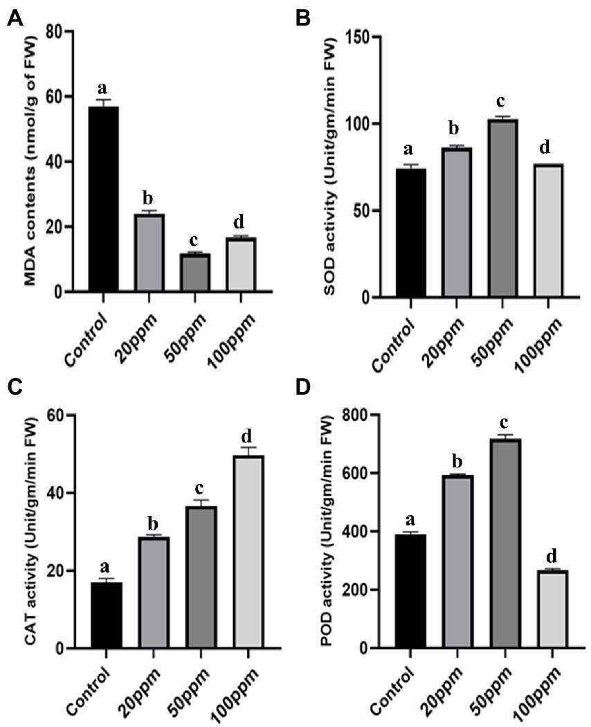 Frontiers | Drought alleviation efficacy of a galactose rich Frontiers | Drought alleviation efficacy of a galactose rich