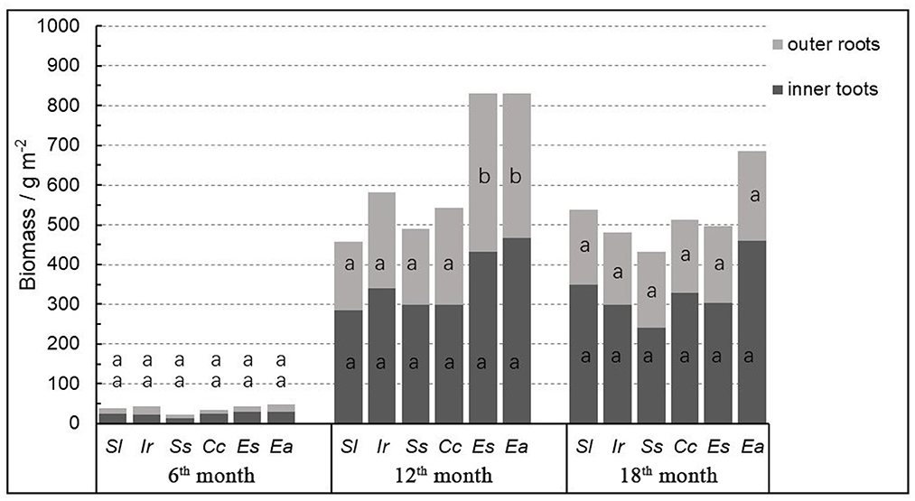 Frontiers  Growth patterns and environmental adaptions of the tree species  planted for ecological remediation in typhoon-disturbed areas—A case study  in Zhuhai, China