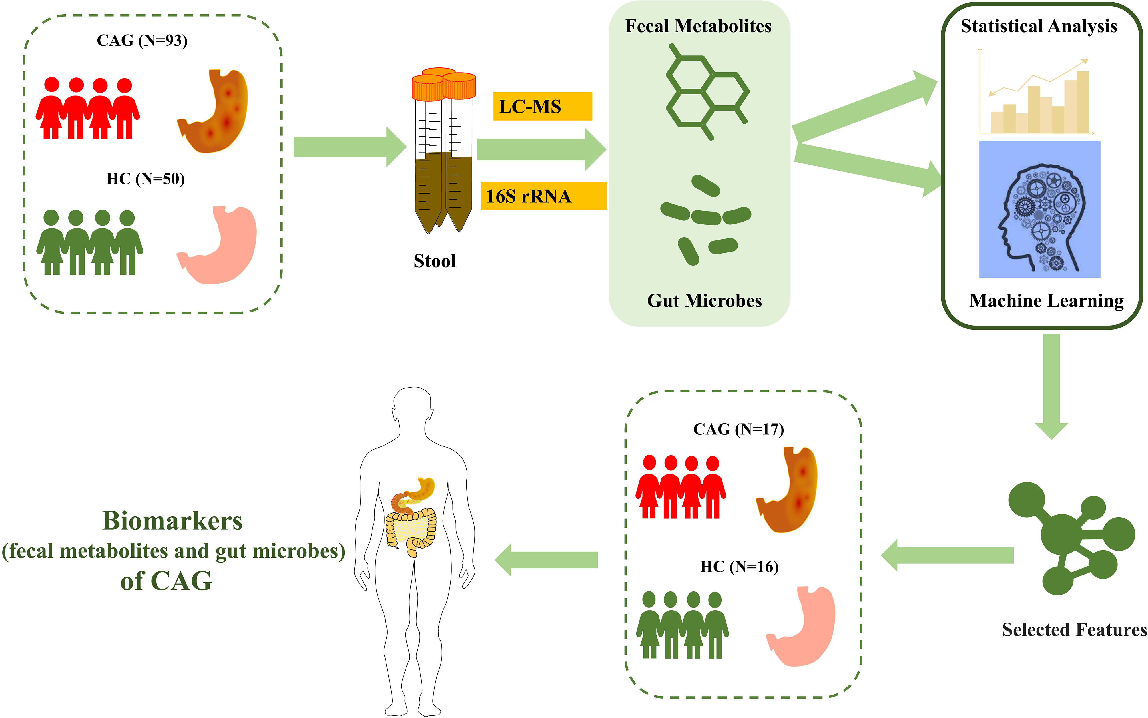 Influence of fecal collection conditions and 16S rRNA gene sequencing at  two centers on human gut microbiota analysis