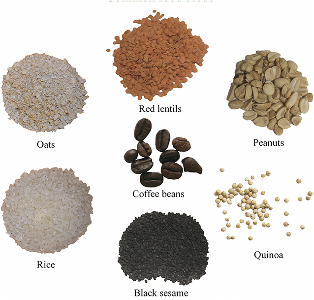 Figure 3 - Examples of seeds that are important food sources.