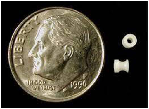 Figure 2 - A photograph depicting the actual size of an ear tube compared to a penny for scale.