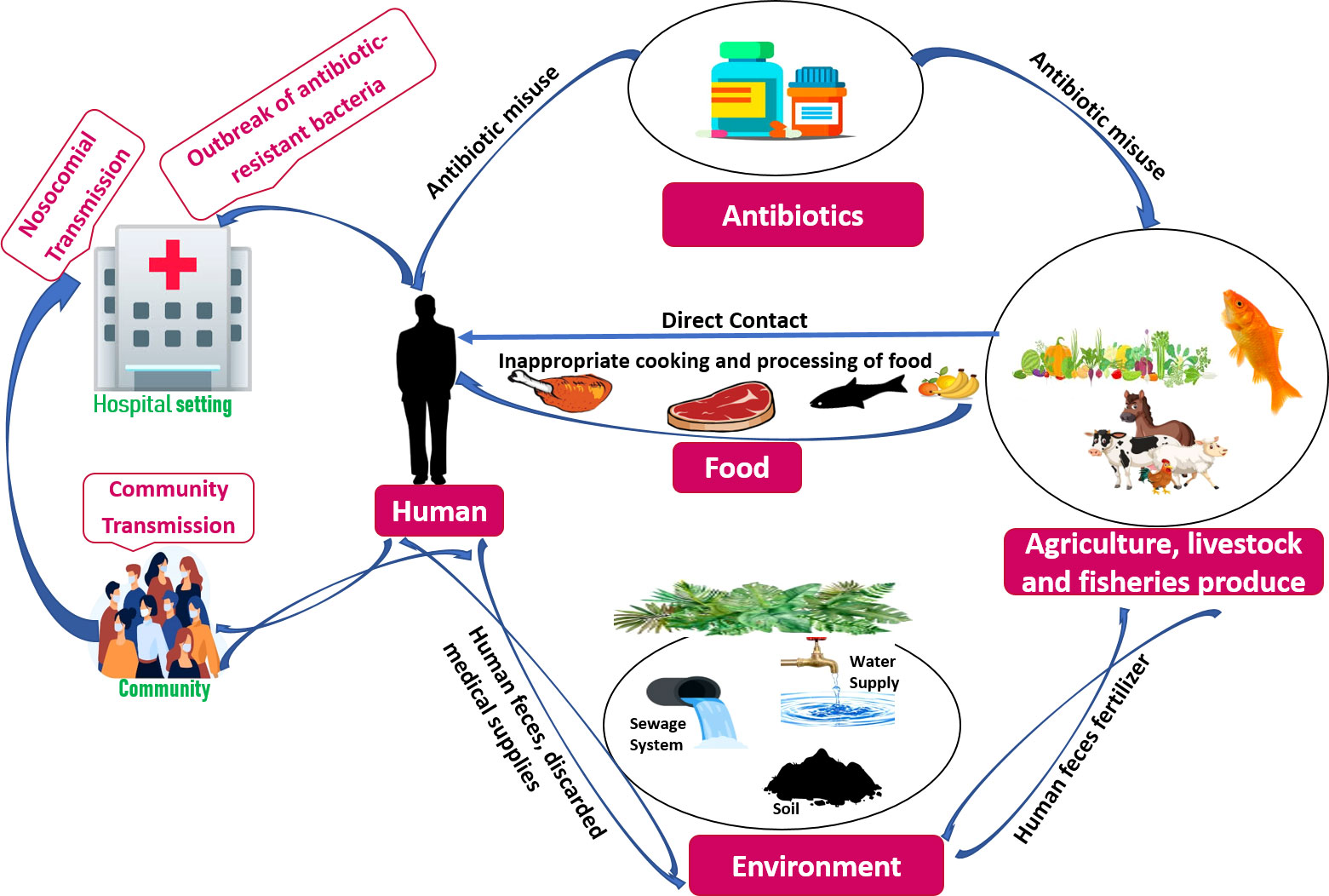 Frontiers | Evolution and implementation of One Health to control