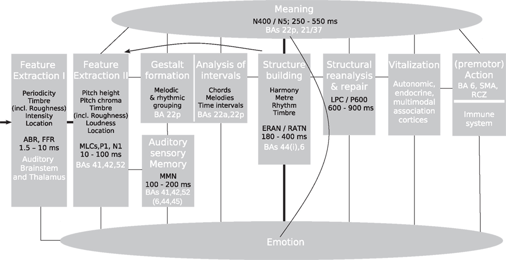 N a means. Abr это auditory. Oct and FFR Systems.