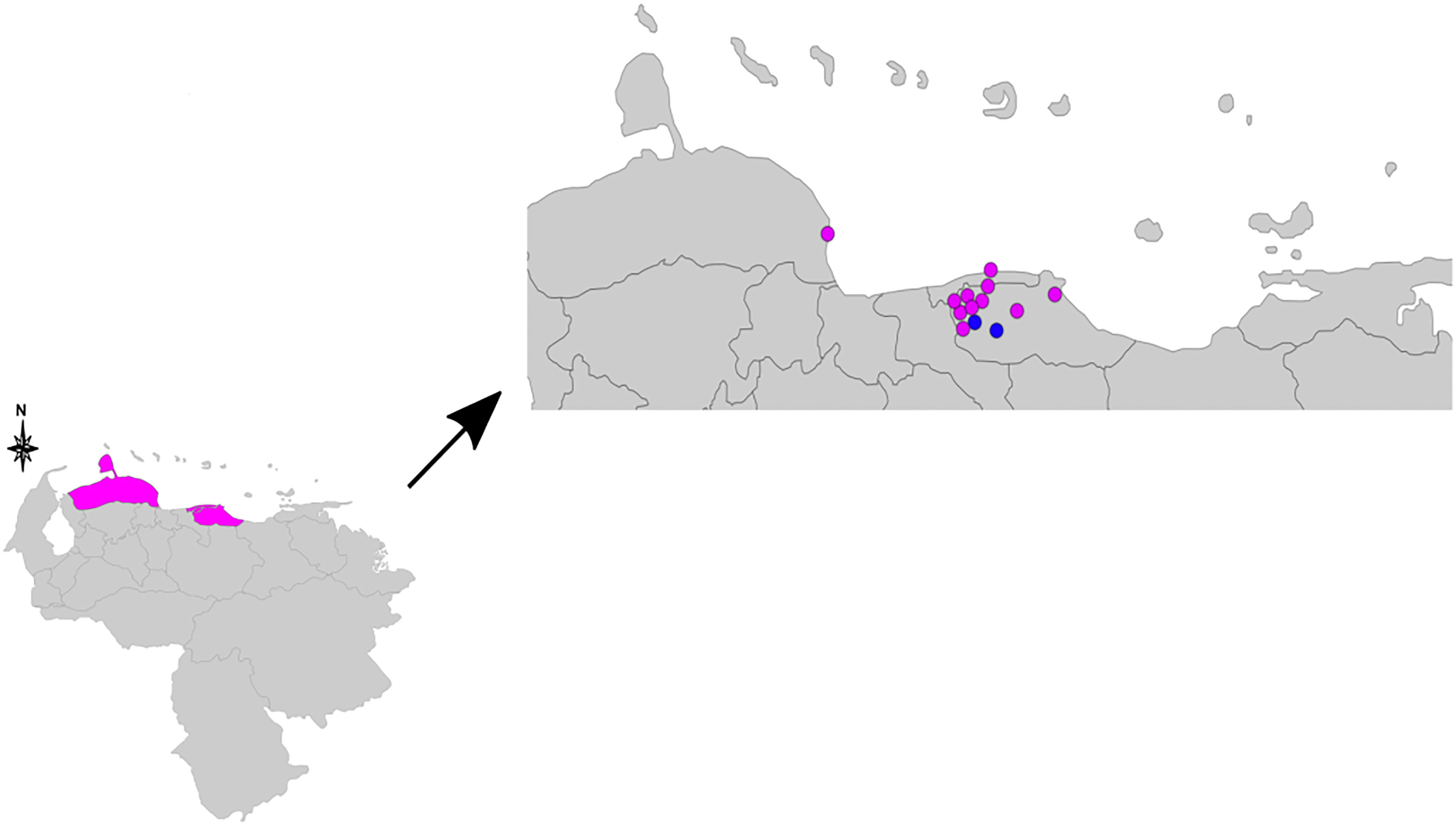 www.frontiersin.org