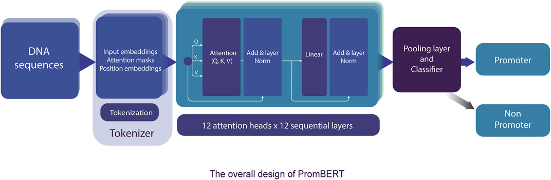 www.frontiersin.org