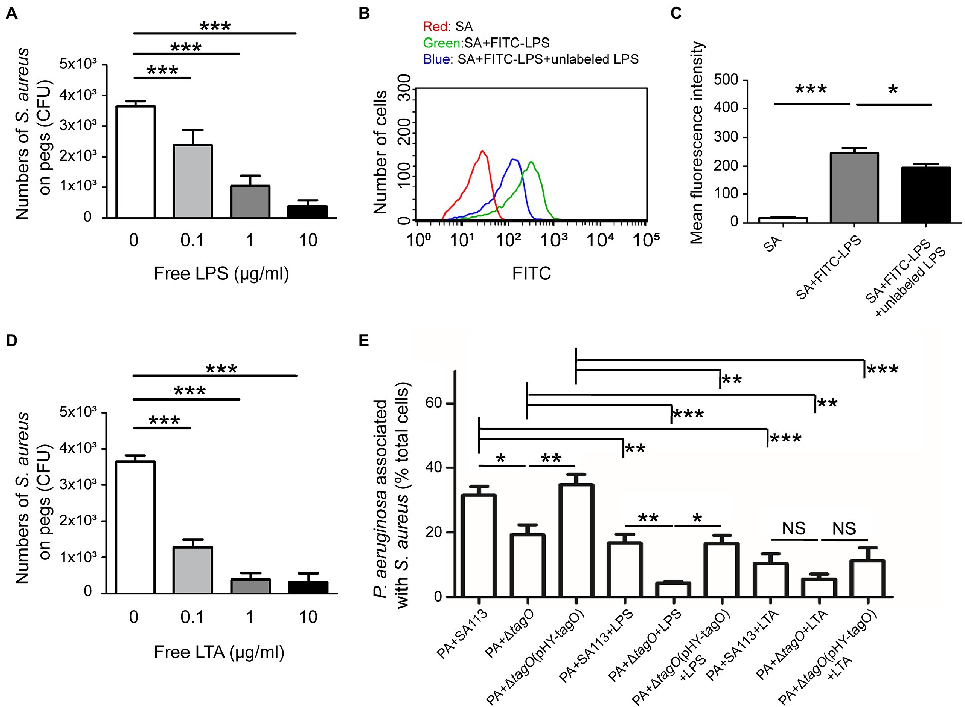 Staphylococcus aureus forms spreading dendrites that have characteristics  of active motility