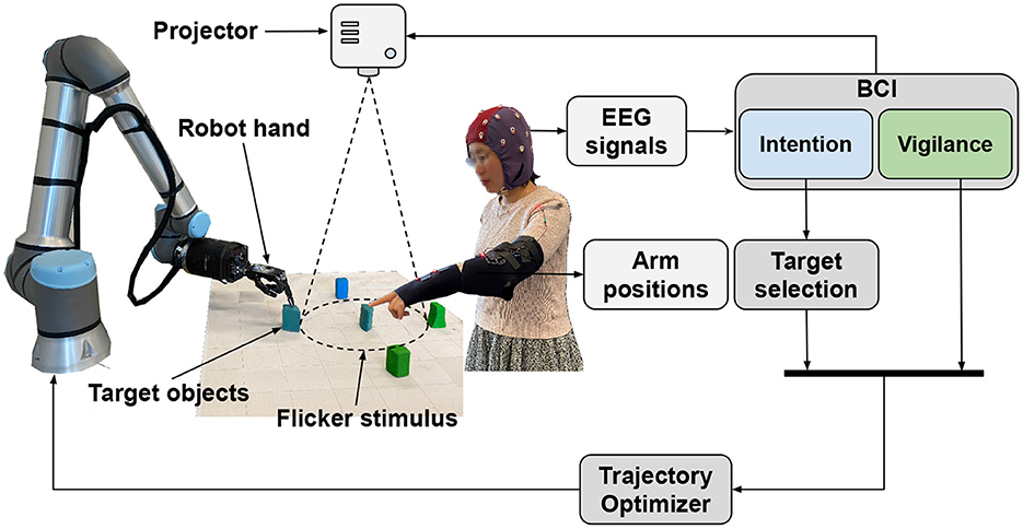 Frontiers  Coordinating human-robot collaboration by EEG-based