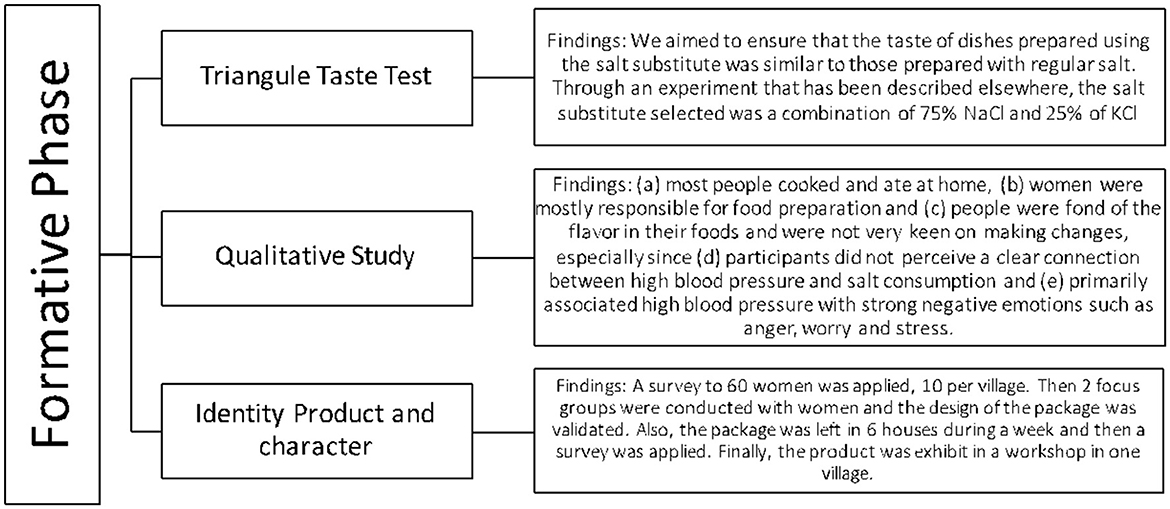 Frontiers  Implementation of a salt substitute intervention using social  marketing in resourced-limited communities in Peru: a process evaluation  study