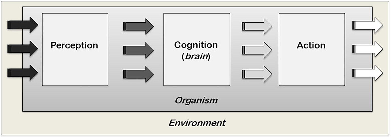 Qu'est-ce que la concentration mentale ? - Cogniton