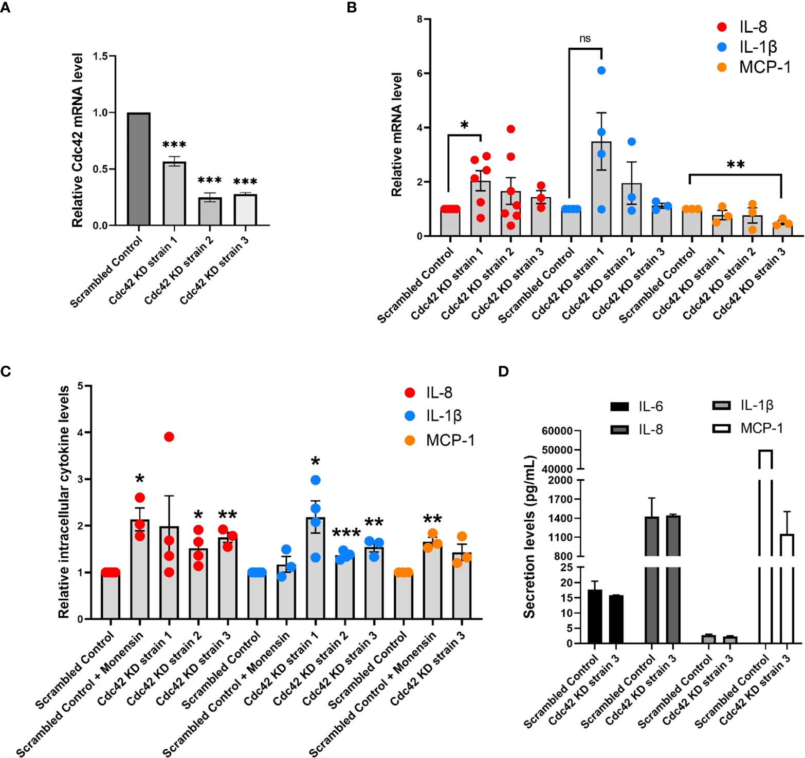 Frontiers | Cdc42 regulates cytokine expression and trafficking in ...