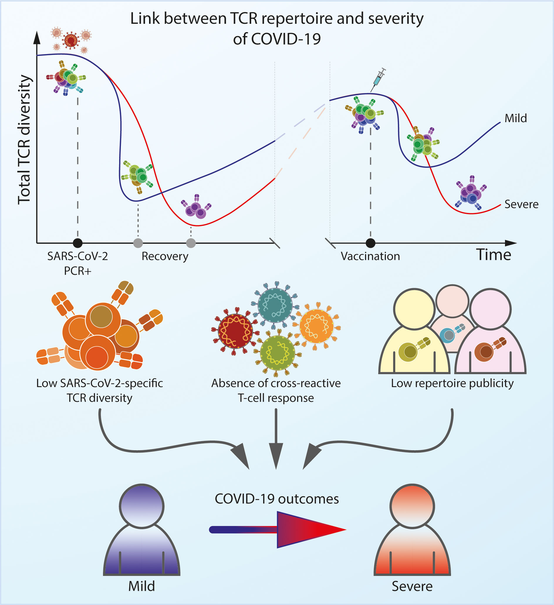 Repertoire Immune Medicines to Provide Progress Updates on