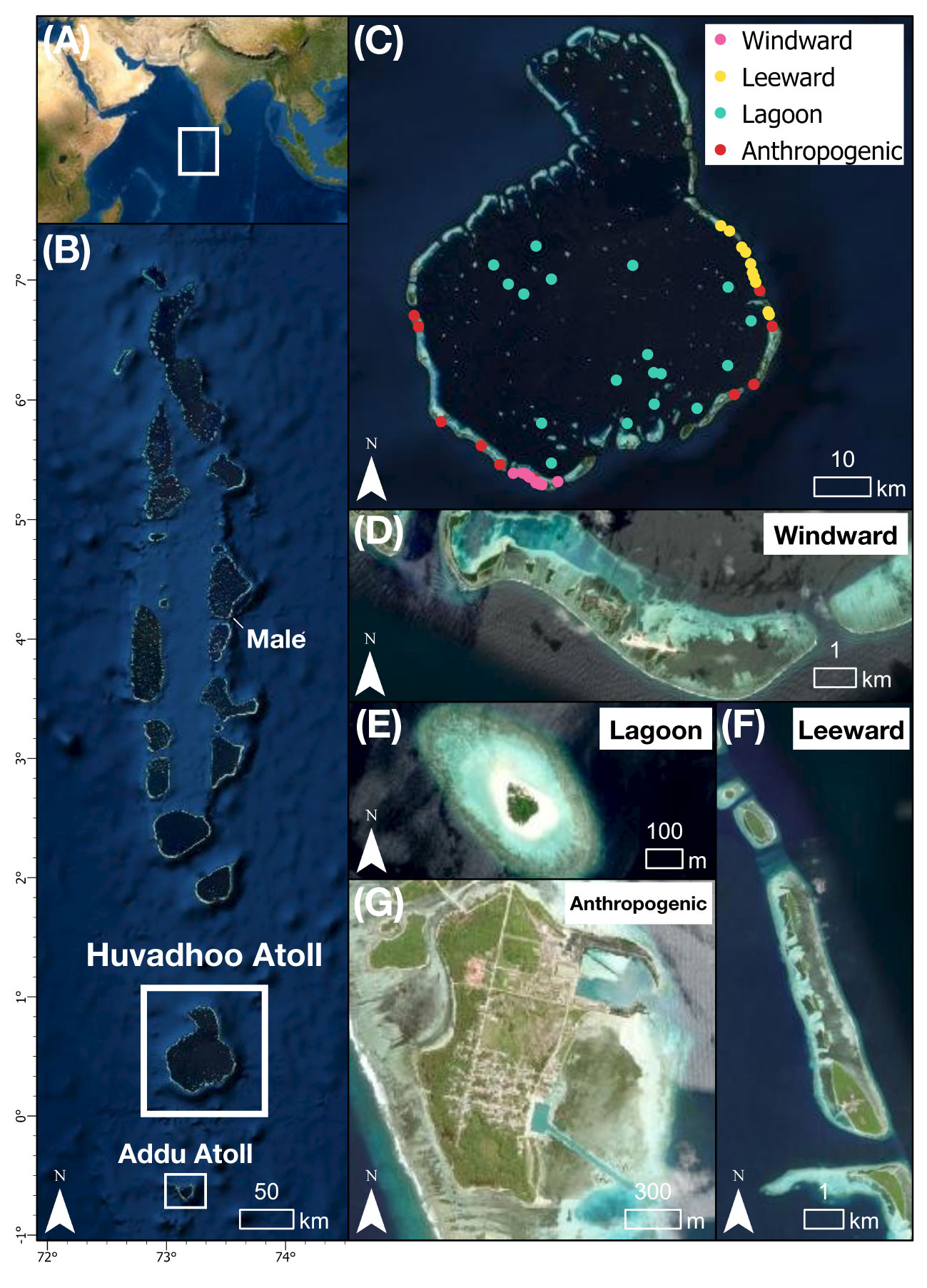 Frontiers | Coral reef island shoreline change and the dynamic