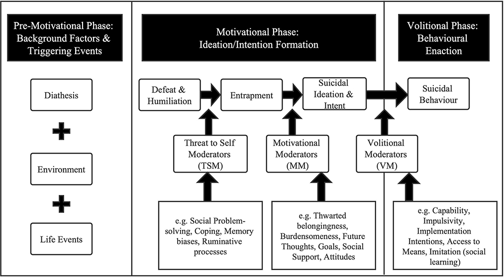 Frontiers A nomogram of suicidal ideation among men who have sex with men in China Based on the integrated motivational-volitional model of suicidal behavior photo