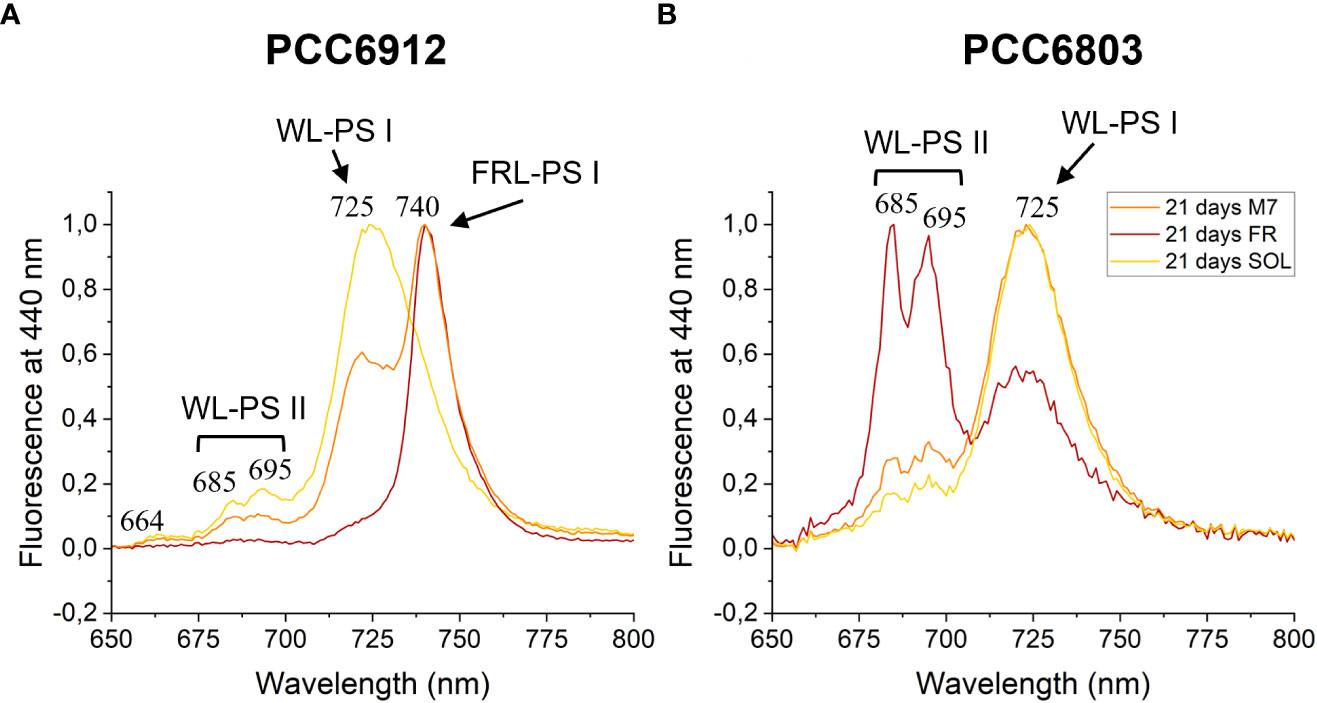 Spatial Proteome Reorganization of a Photosynthetic Model Cyanobacterium in  Response to Abiotic Stresses