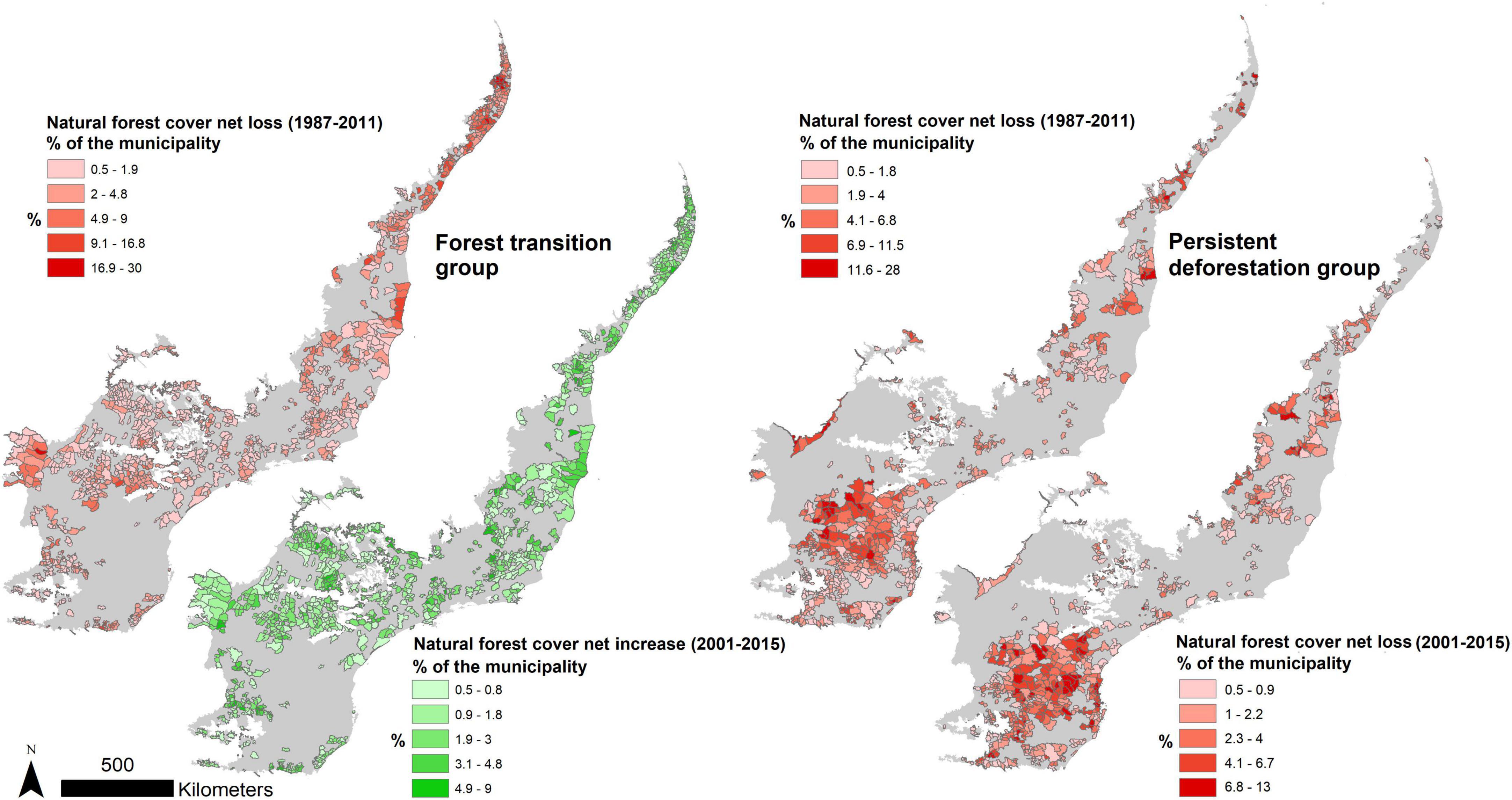 The Atlantic Forest: A Unique Biome in Brazil - Carbon Credits Consulting