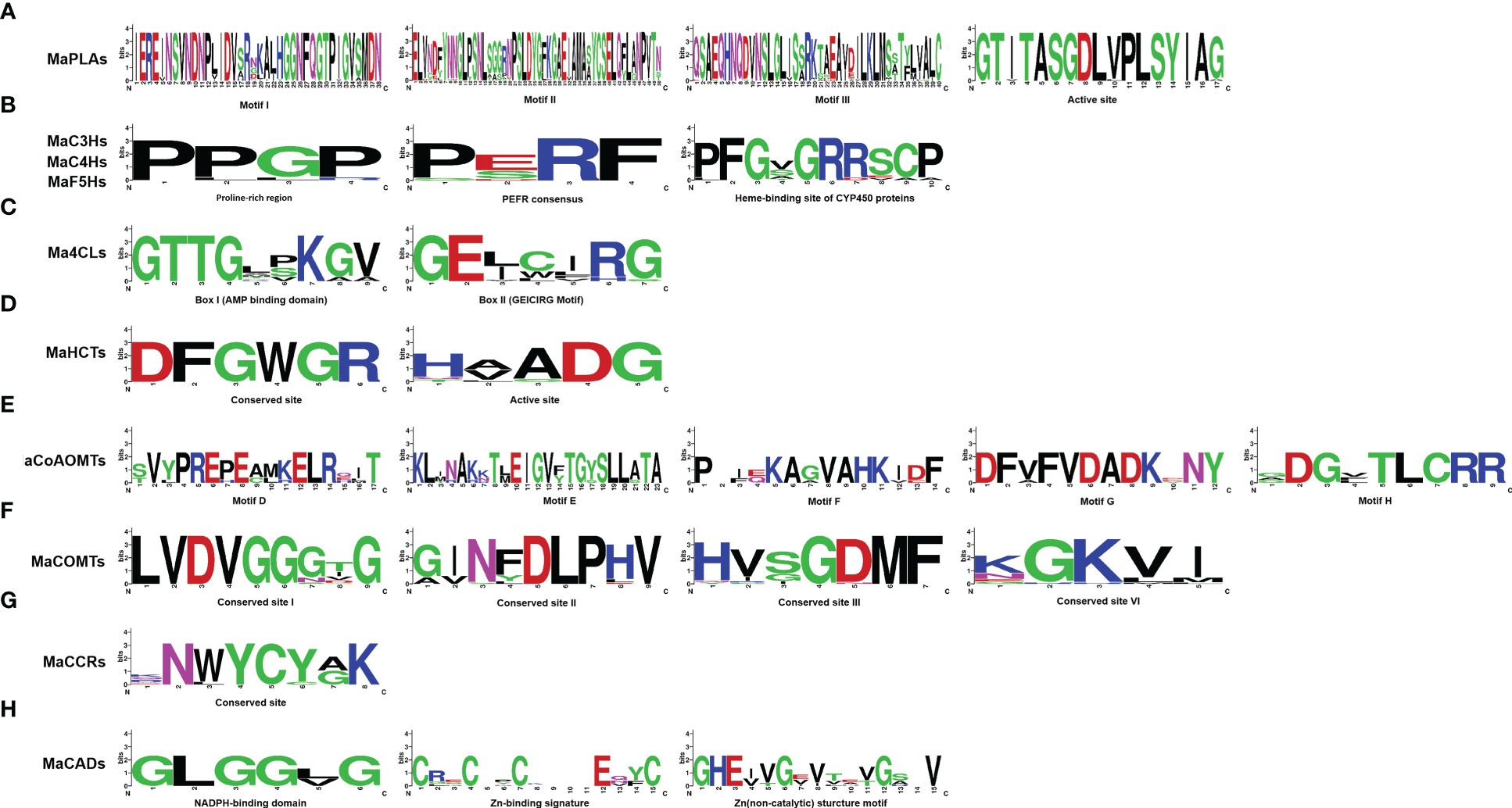 www.frontiersin.org