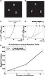 www.frontiersin.org
