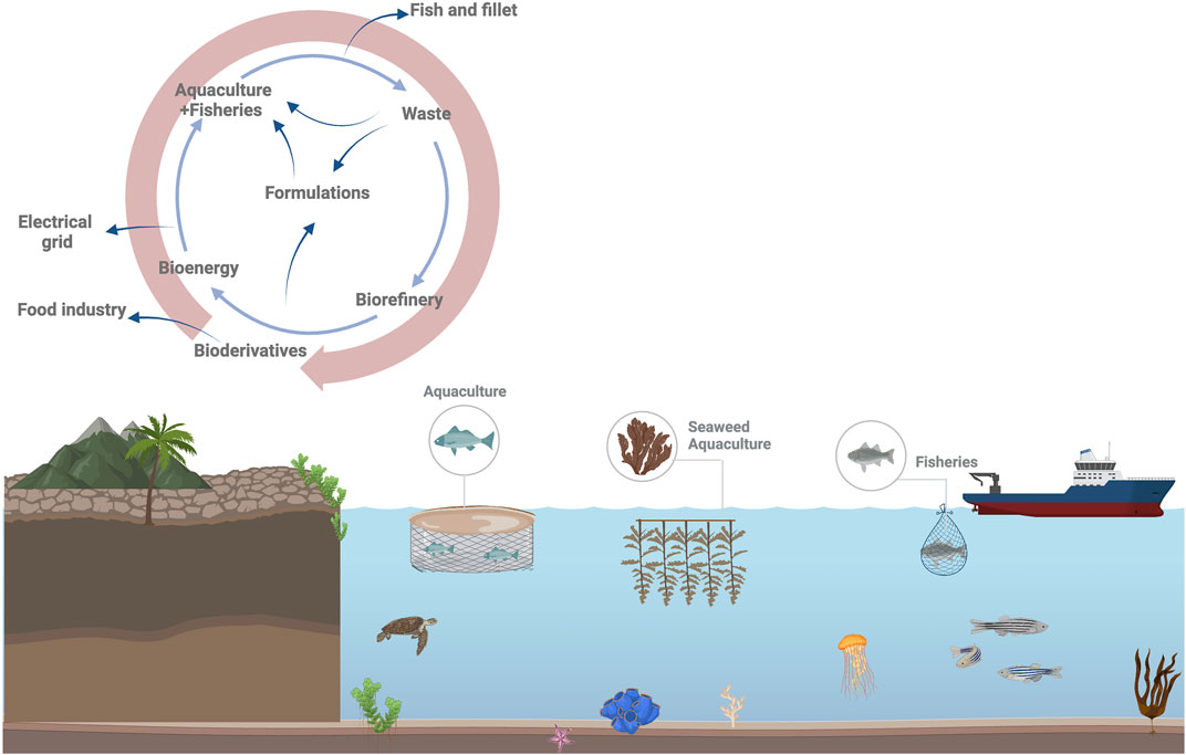 Aquaculture Ecosystem