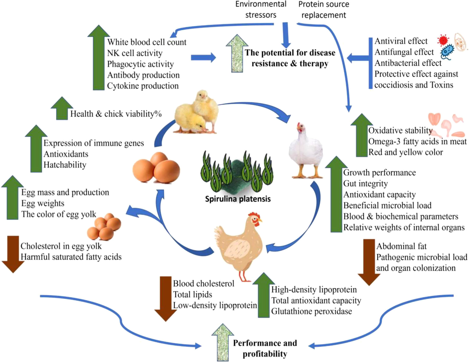 Frontiers  Insects as an alternative protein source for poultry