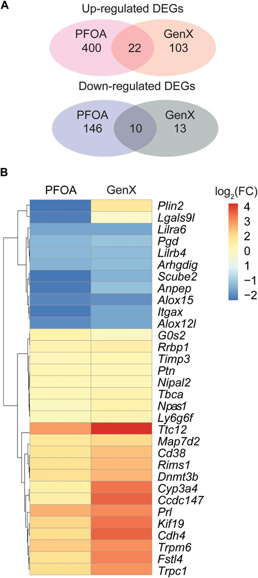 Frontiers | Blood transcriptome responses to PFOA and GenX 