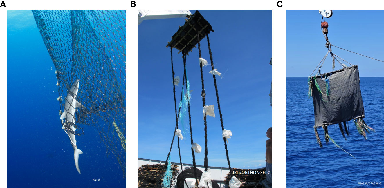 Frontiers  Improving sustainable practices in tuna purse seine
