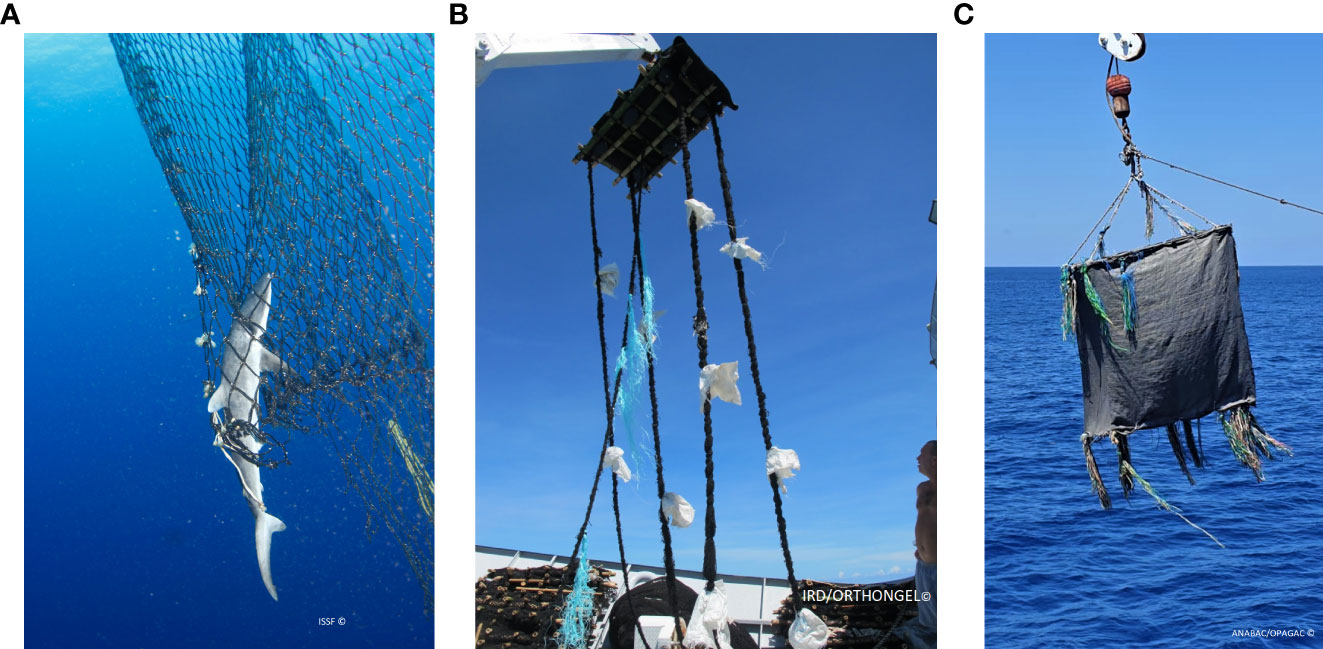 Depiction of the three phases of the Danish seining process: (A)-(B)