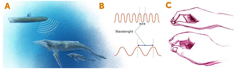 Figure 1 - Detecting objects using radiation.