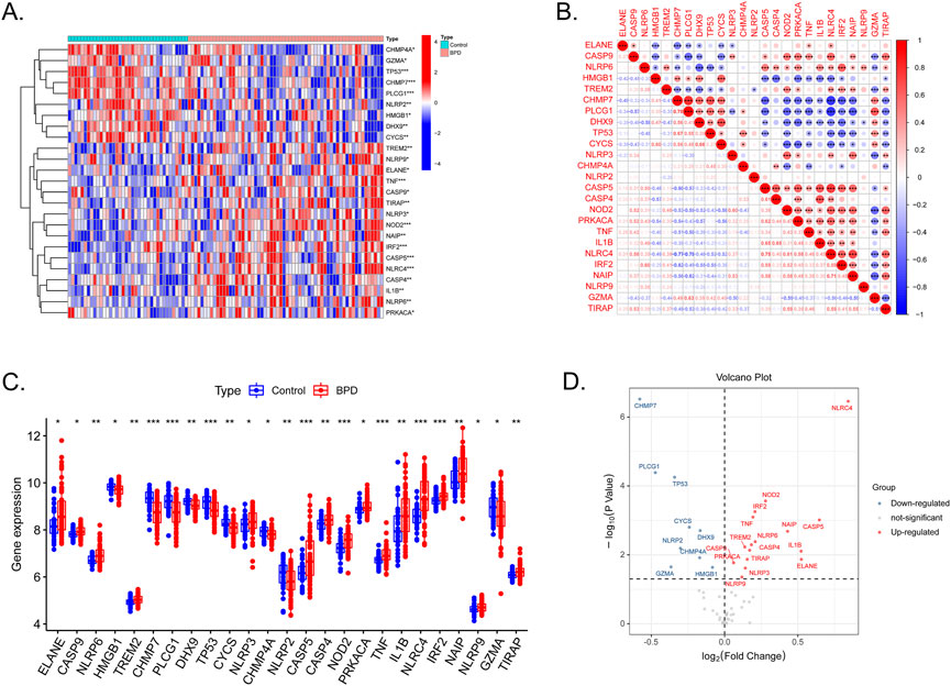 Frontiers | Genome-wide exploration of a pyroptosis-related