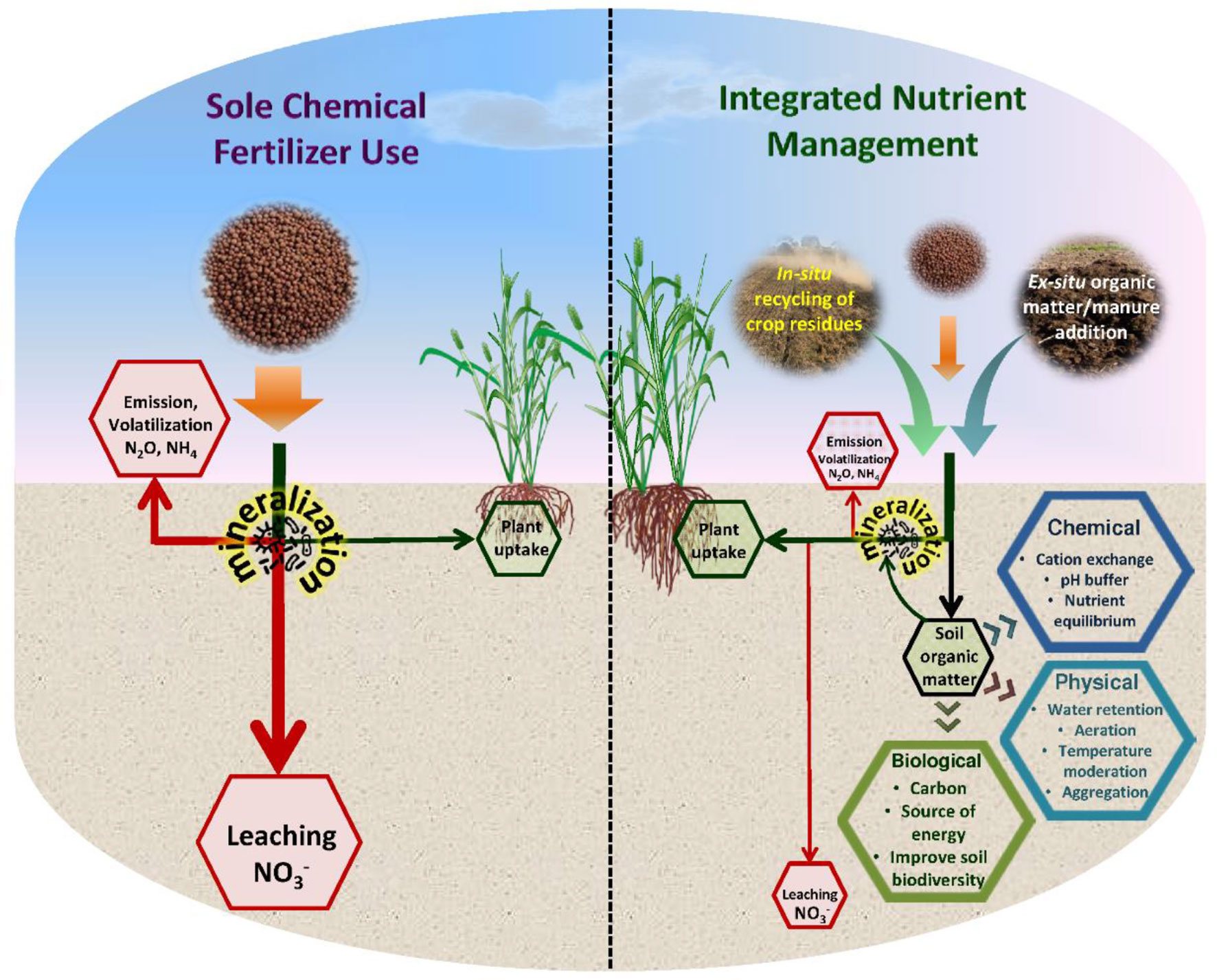 research article on nutrient management