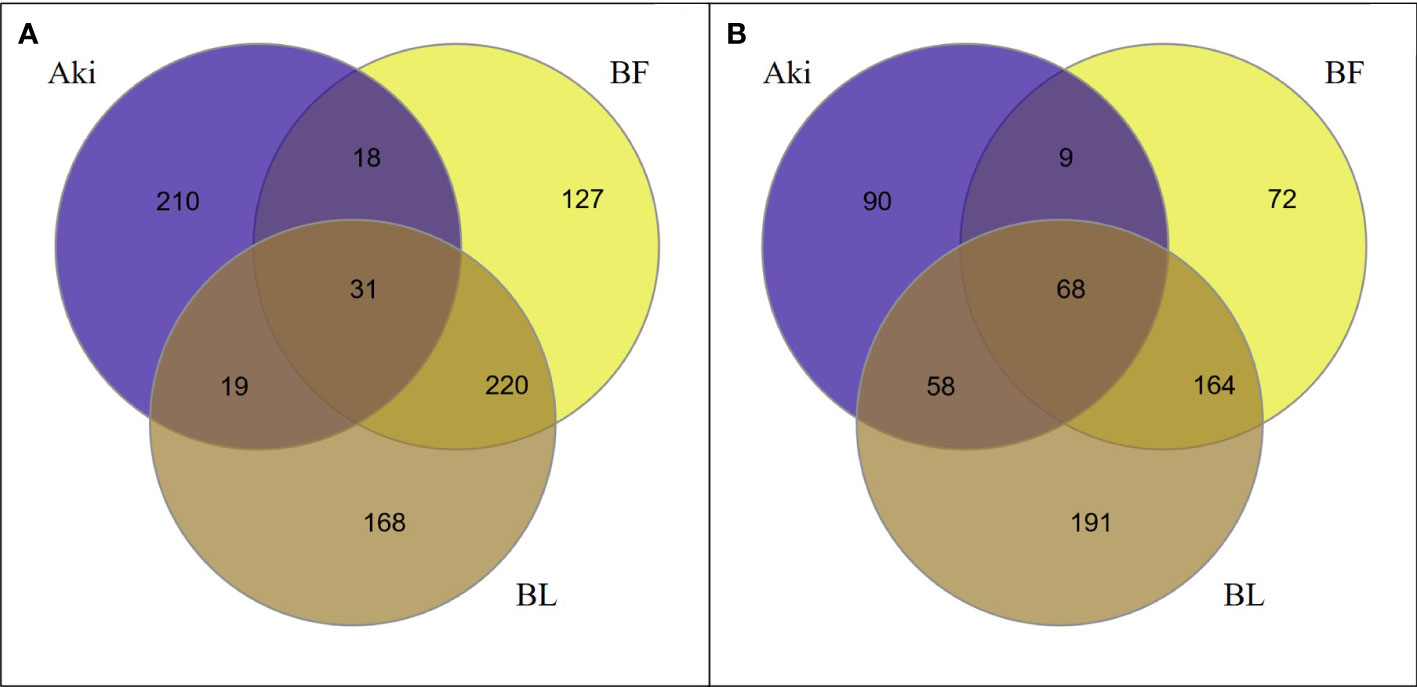 Frontiers  Grapevine response to a Dittrichia viscosa extract and a  Bacillus velezensis strain