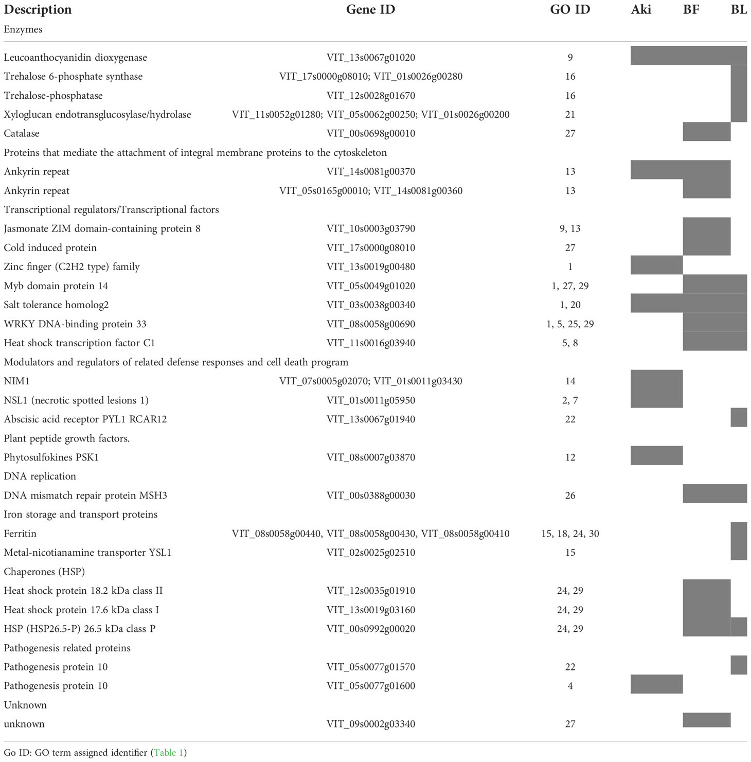 Frontiers  Grapevine response to a Dittrichia viscosa extract and a  Bacillus velezensis strain