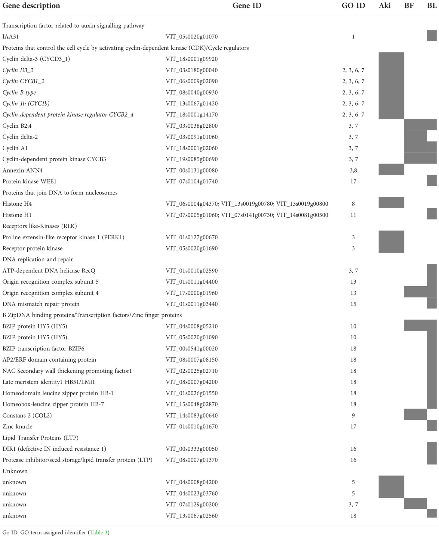Frontiers Grapevine response to a Dittrichia viscosa extract and a Bacillus velezensis strain