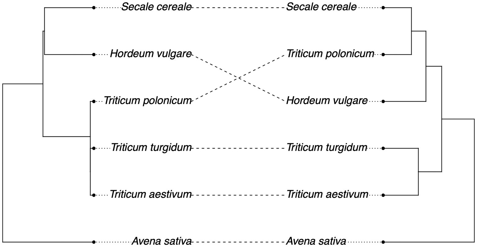 www.frontiersin.org