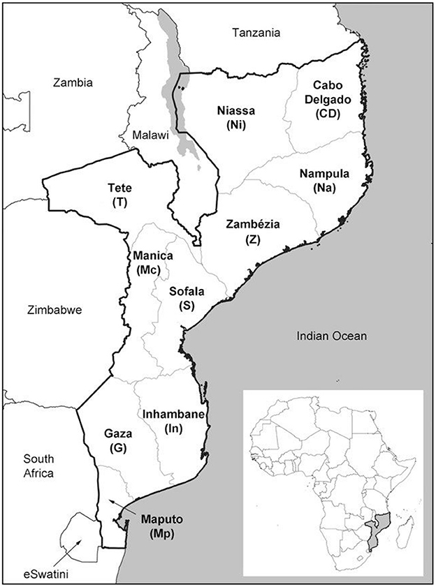 www.frontiersin.org