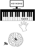 www.frontiersin.org