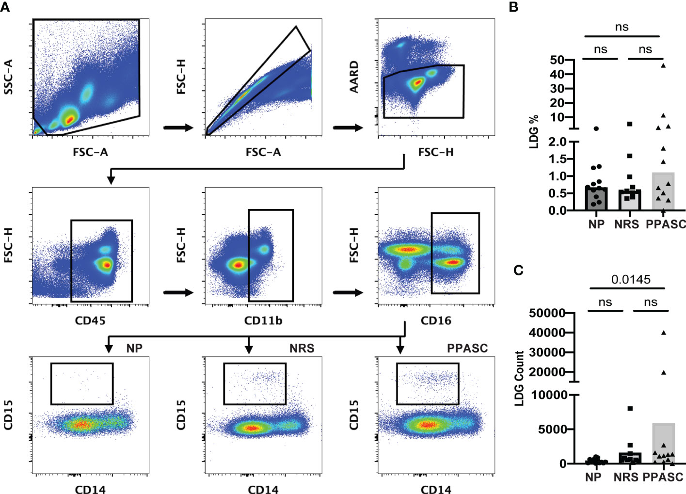 Frontiers Phenotypic alteration of lowdensity granulocytes in people