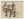 www.frontiersin.org